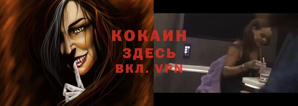 тгк Володарск