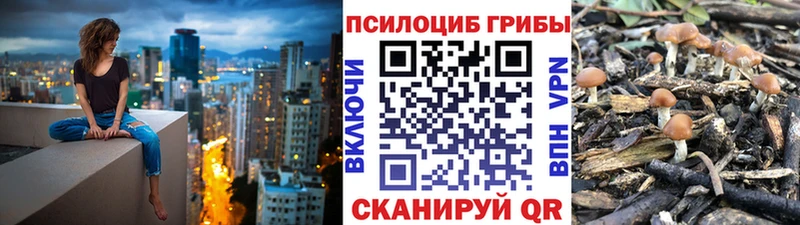 Галлюциногенные грибы прущие грибы  OMG ссылки  сайты даркнета Telegram  Калтан 